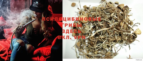 тгк Абинск