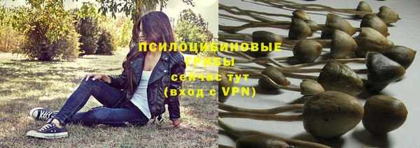 тгк Абинск