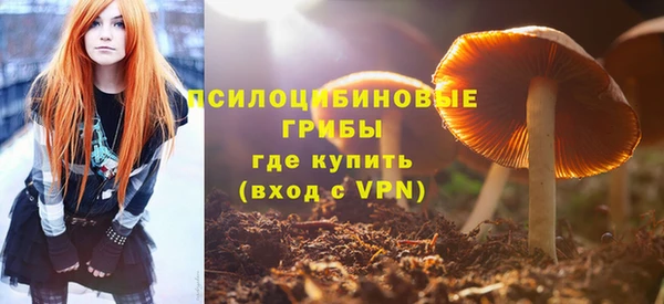 ALPHA-PVP Медвежьегорск